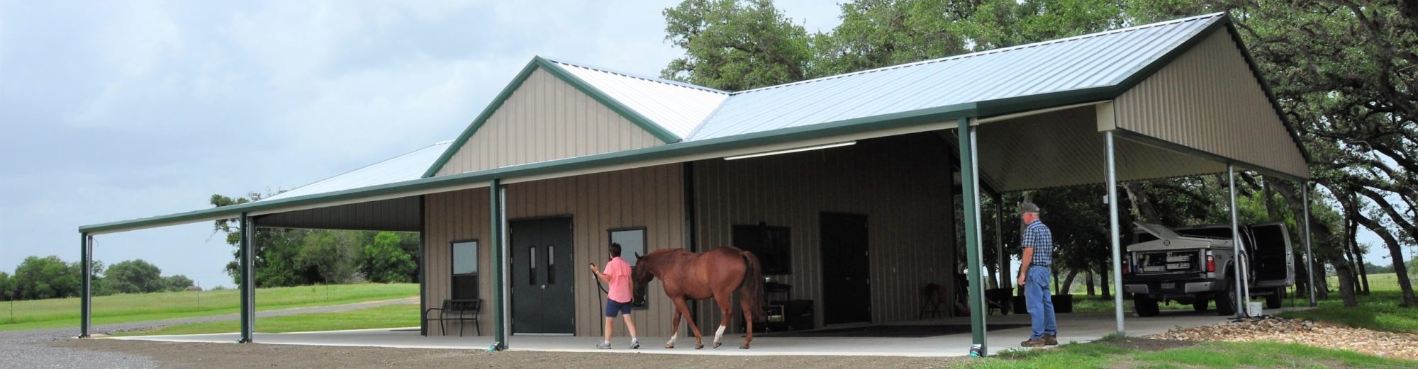 Warren Equine Sports Medicine